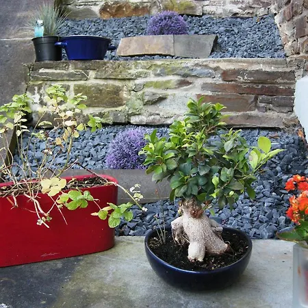 Haus Birgit Appartamento *